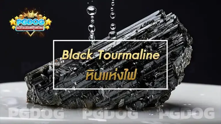 Black Tourmaline หินแห่งไฟ
