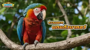 ความฉลาด นกแก้วมาคอว์