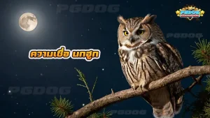 ความเชื่อ นกฮูก