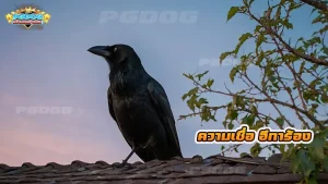 ความเชื่อ อีการ้อง