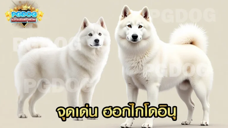 จุดเด่น ฮอกไกโดอินุ