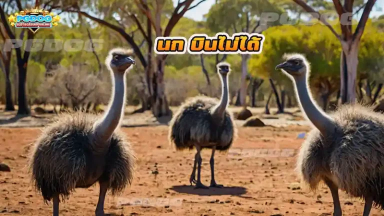 นก บินไม่ได้