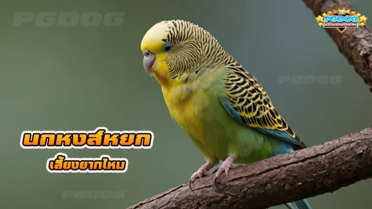 นกหงส์หยก เลี้ยงยากไหม