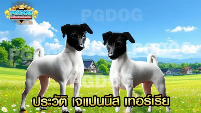 ประวัติ เจแปนนีส เทอร์เรีย