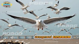 ปรากฏการณ์ นกอพยพ