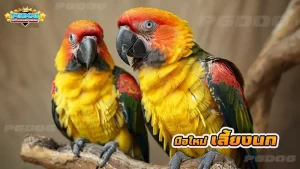 มือใหม่ เลี้ยงนก