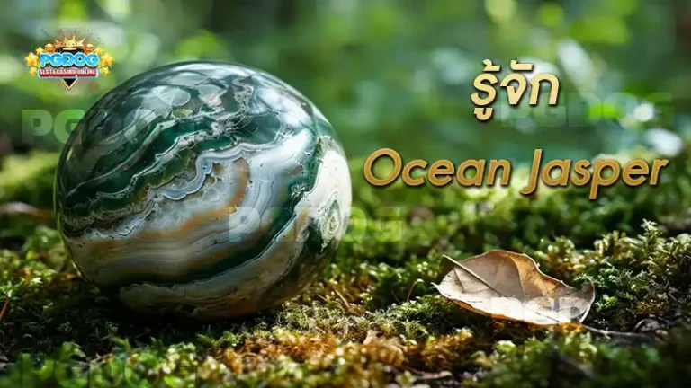 รู้จัก Ocean Jasper