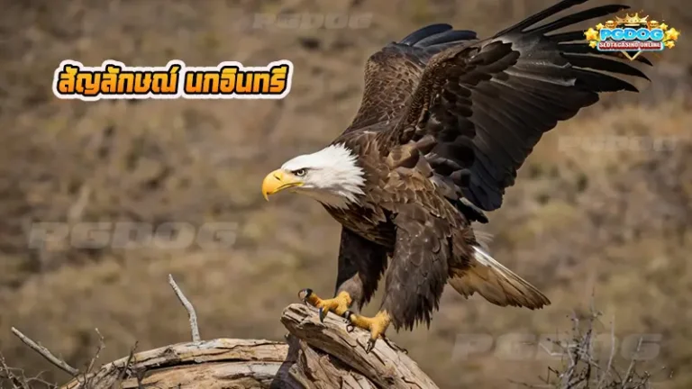 สัญลักษณ์ นกอินทรี