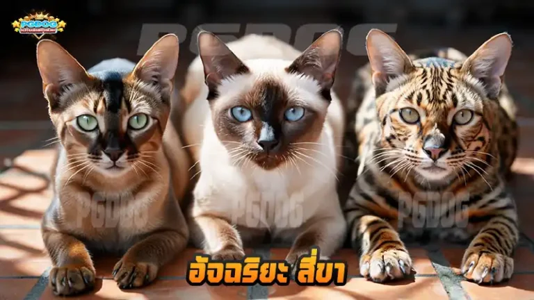 อัจฉริยะ สี่ขา