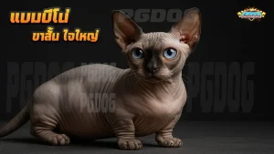 แบมบีโน่ ขาสั้น ใจใหญ่