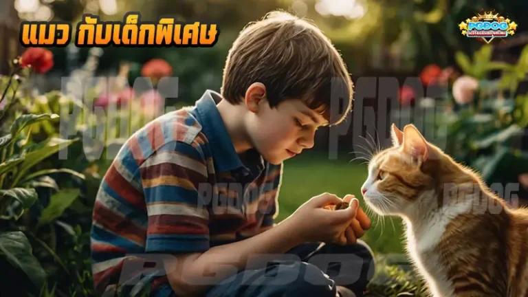 แมว กับเด็กพิเศษ