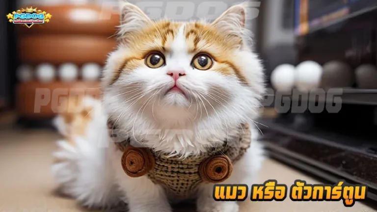 แมว หรือ ตัวการ์ตูน