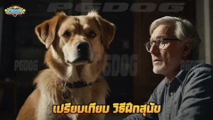 เปรียบเทียบ วิธีฝึกสุนัข