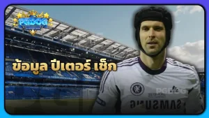 ข้อมูล ปีเตอร์ เช็ก