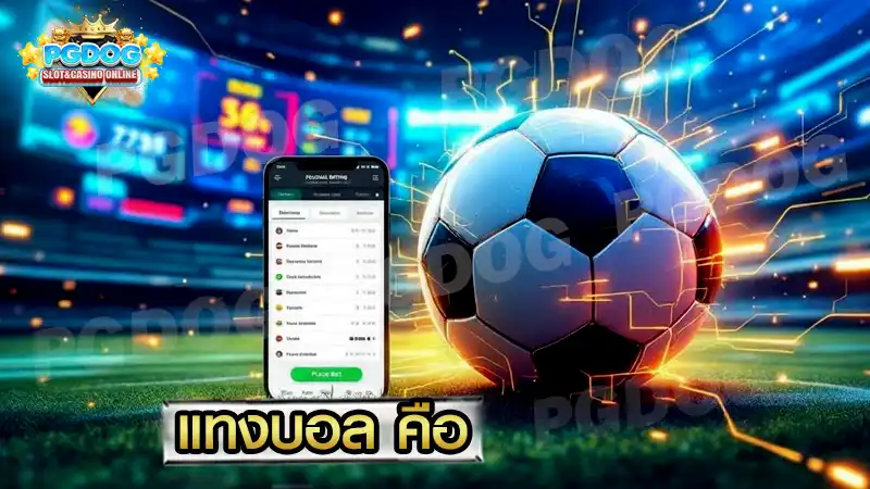 แทงบอล คือ